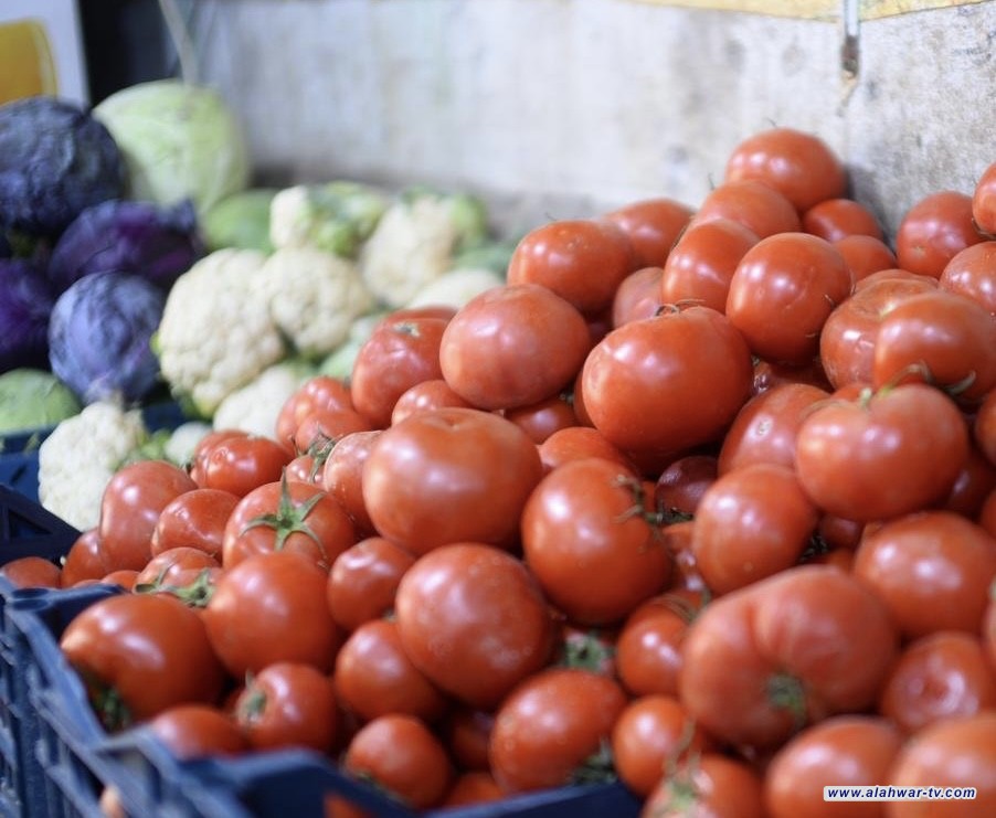 الزراعة: نقترب من تحقيق الاكتفاء الذاتي بـ 6 محاصيل بينها الطماطم والبطاطا