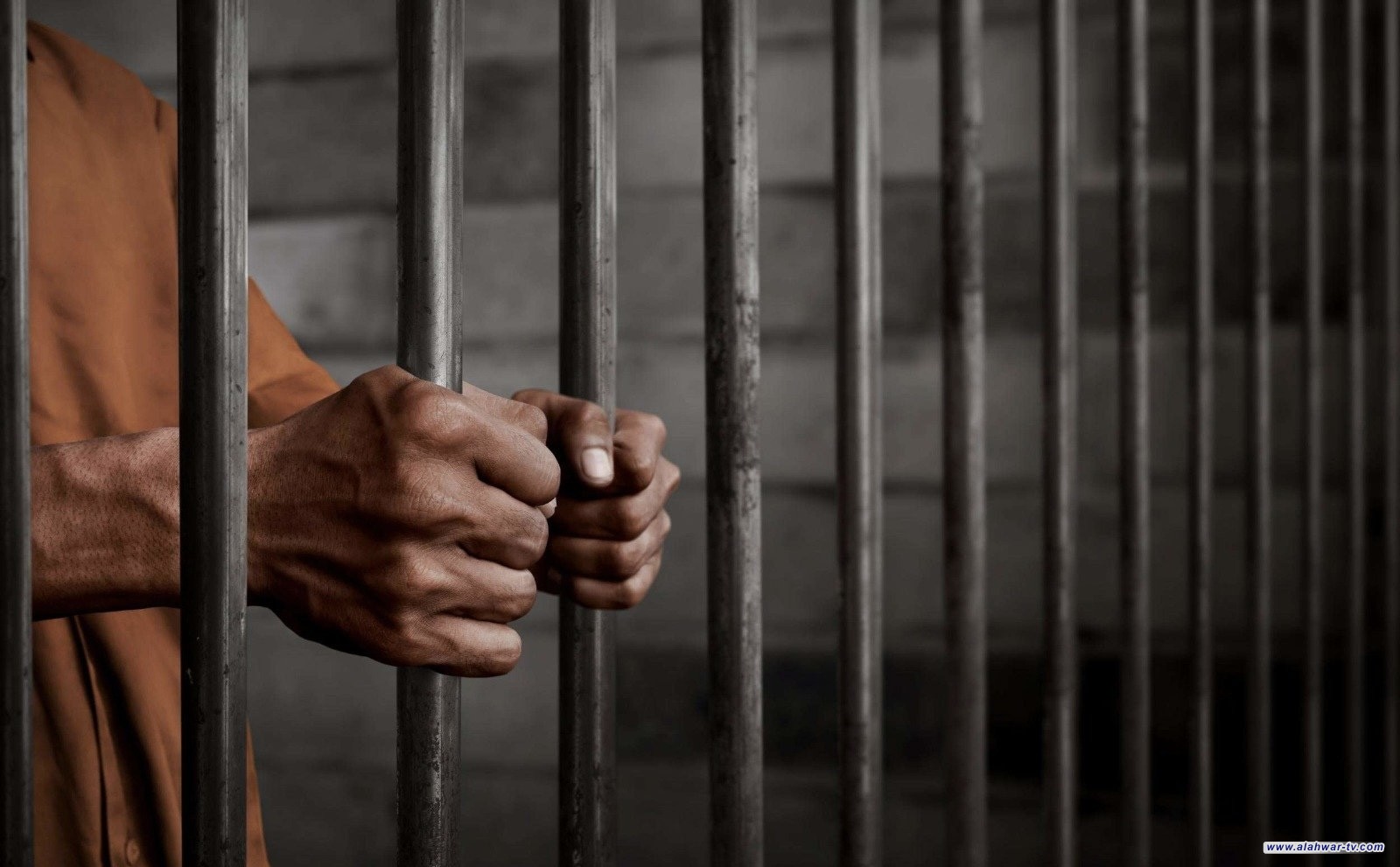 بالأرقام. جنسيات الإرهابيين المنقولين من سوريا