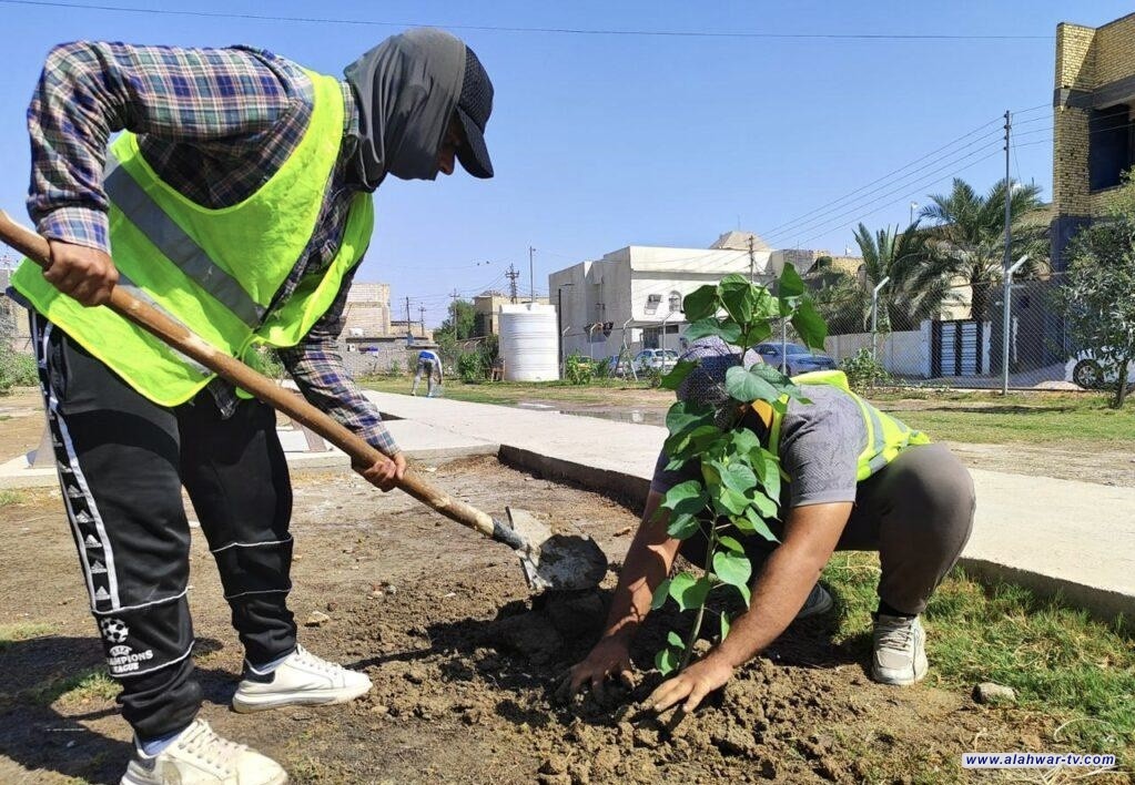انطلاق مرتقب لحملة تشجير في الناصرية بـ 30 ألف شتلة