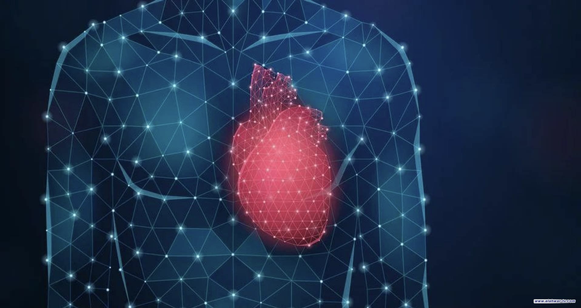 علماء يوضحون تأثير الإجهاد المزمن على القلب على المستوى الخلوي