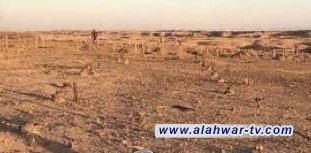 الحشد الشعبي يعثر على قنابل عنقودية في صحراء النجف