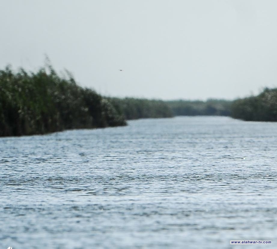 وزارة البيئة تؤكد صلاحية مياه مدن الفرات الأوسط للاستخدام البشري