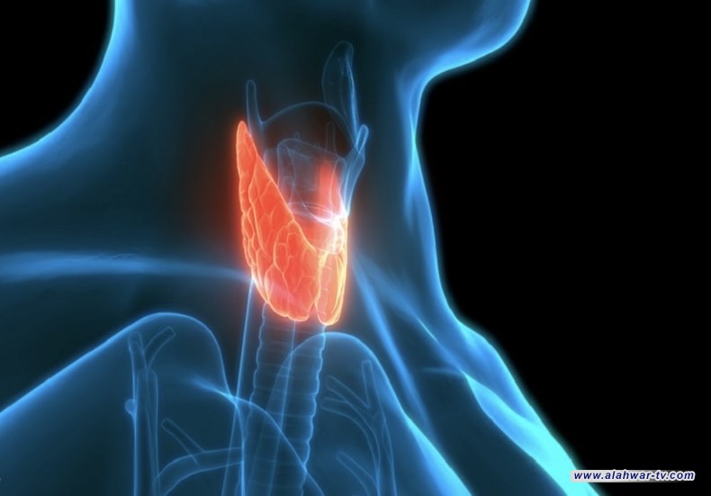 نصائح غذائية مهمة لتخفيف أعراض اضطرابات الغدة الدرقية