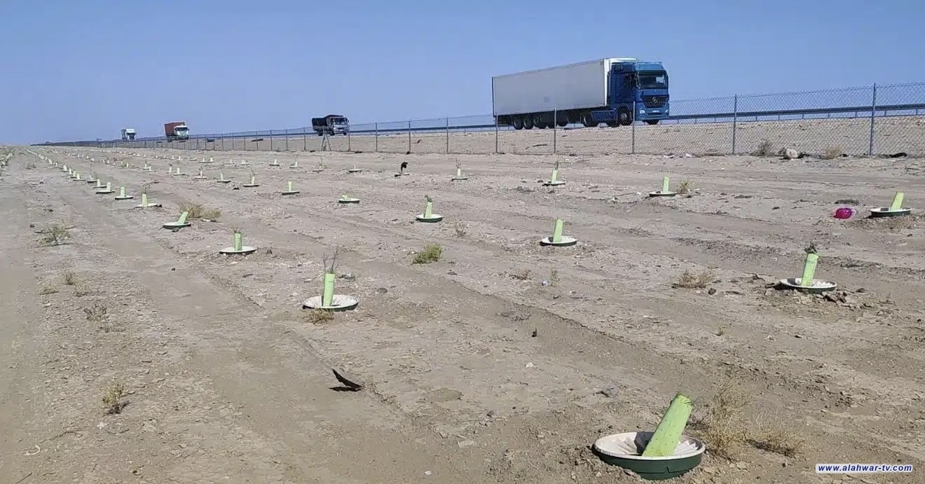 حكومة ذي قار: شمول مشروع الكثبان الرملية بحملة التشجير المقبلة