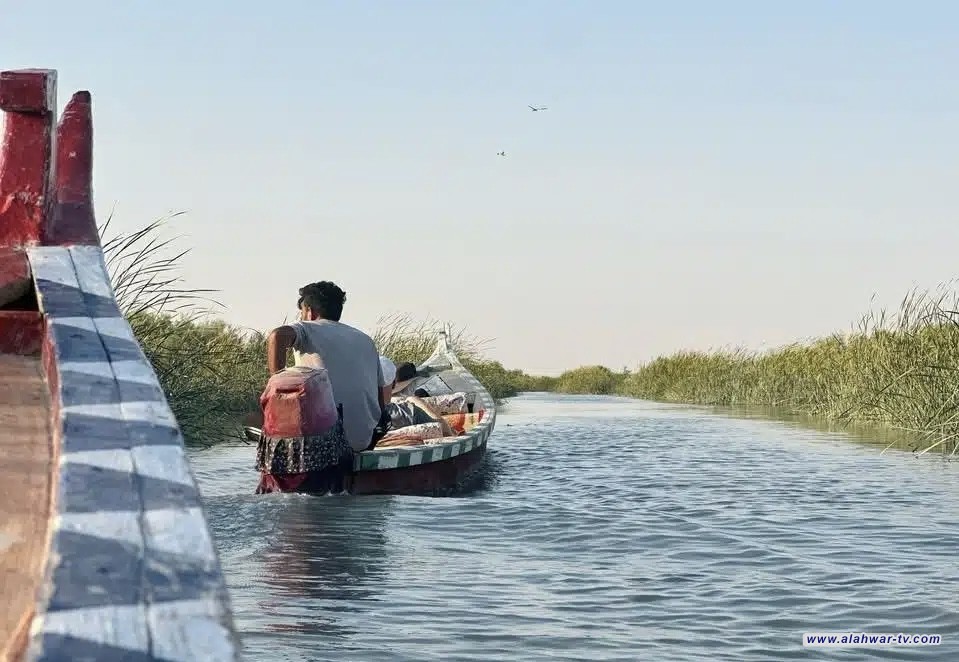 وفود أجنبية تتوافد لاكتشاف كنوز أهوار ذي قار رغم الجفاف