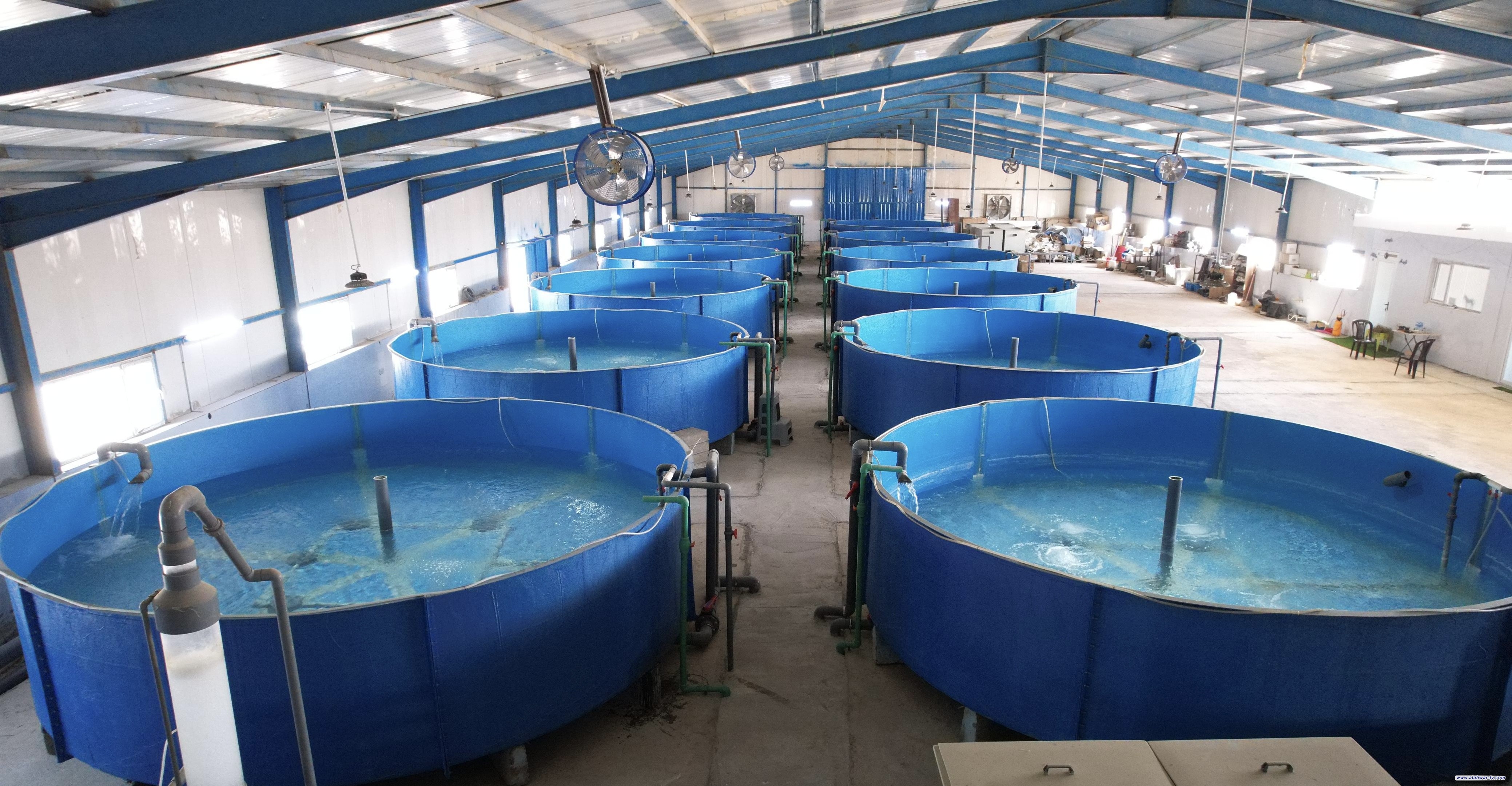 الموارد تلزم مربي الأسماك بالتحول نحو الأحواض المغلقة