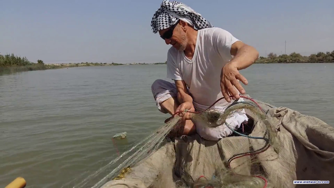 تحديد فترة شهرين لمنع صيد الأسماك بموسم التكاثر في ذي قار