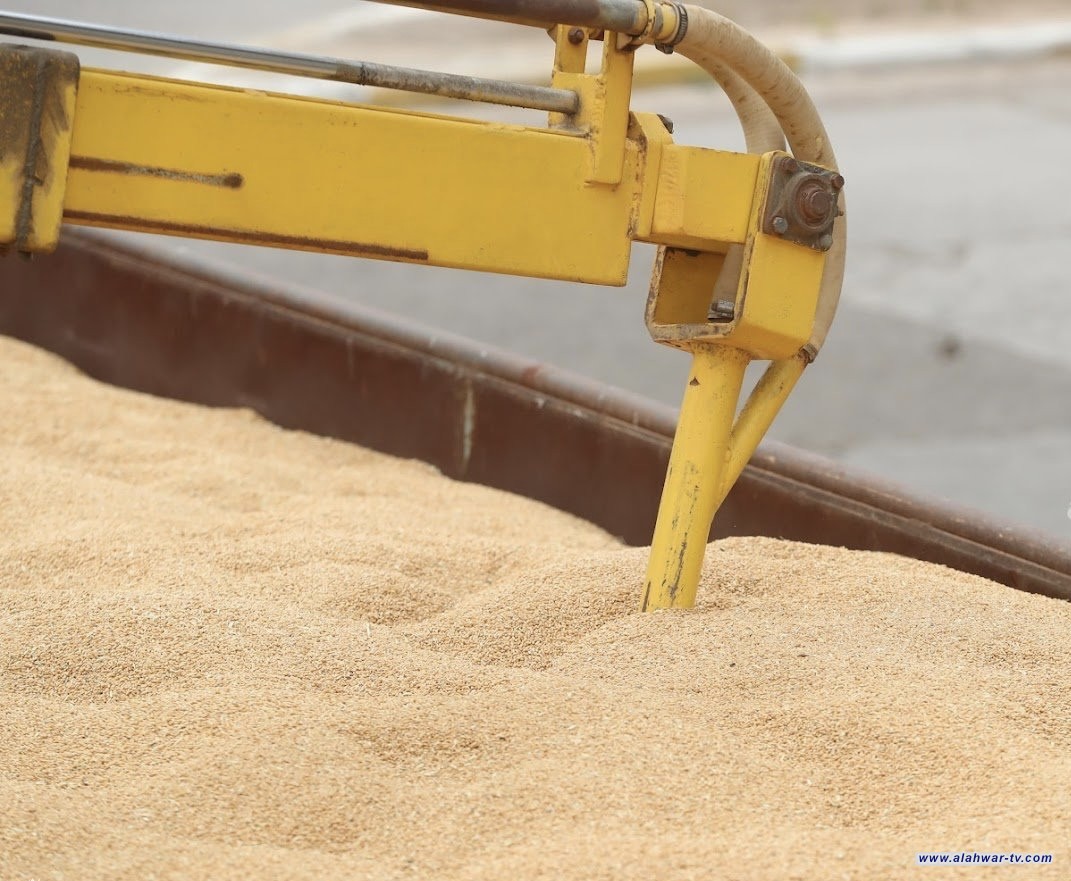 مع قرب موسم التسويق.. التجارة: خزين الحنطة يبلغ نحو 4 ملايين طن