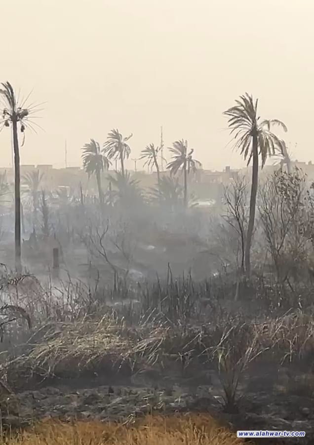 النيران تلتهم بستانين اثنين للنخيل في العرجة في الناصرية