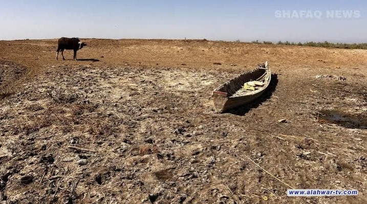 الجفاف يفتك بذي قار    نزوح 60 ألف شخص وخسائر جسيمة بالجاموس والأسماك