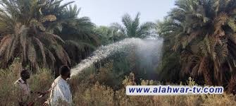 اندلاع حريق في أحد البساتين جنوب ذي قار