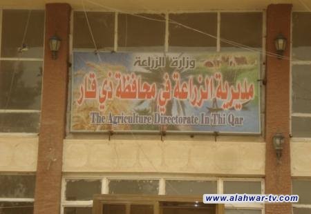 زراعة ذي قار: 70 ألف دونم مساحات الخطة الزراعية الصيفية