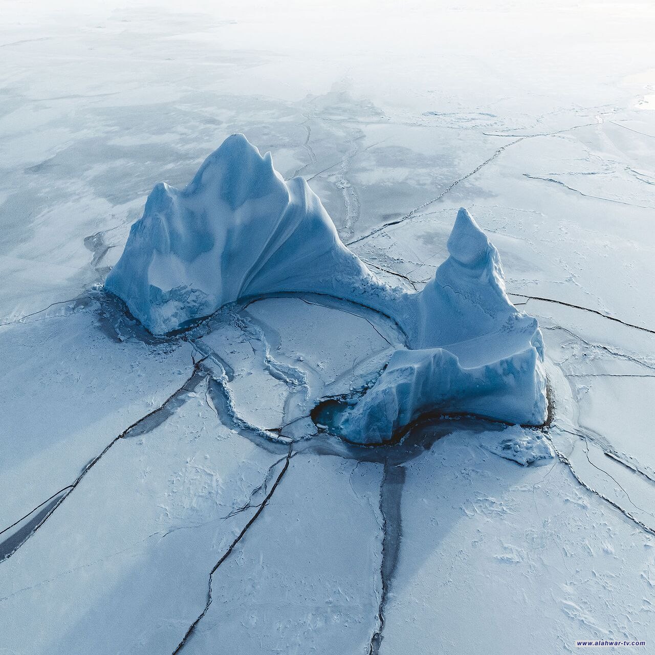 علماء يحذرون من "سيناريو مخيف".. الجليد قد يختفي في غضون 10 سنوات من للقطب الشمالي