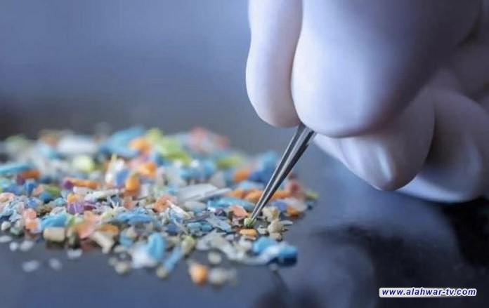 دراسة: الجسيمات البلاستيكية الدقيقة في علب الطعام تسبب الزهايمر