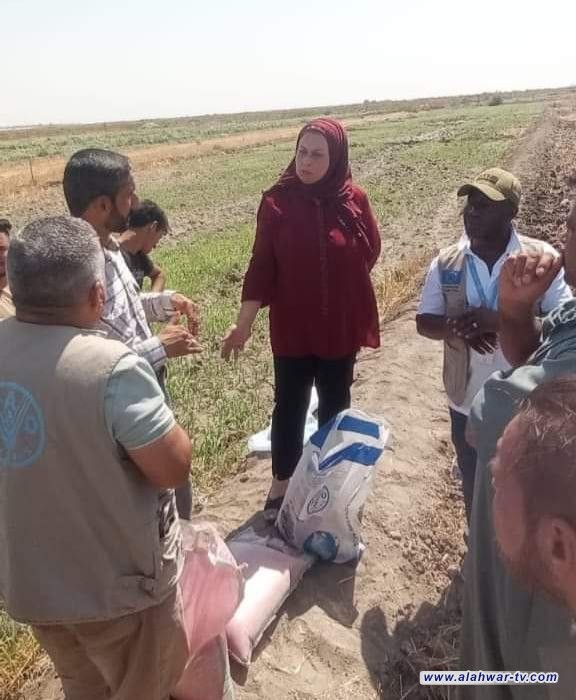 زراعة ذي قار تشارك منظمة الفاو وفريق وزارة البيئة بتطبيق برنامج الزراعة الحافظة