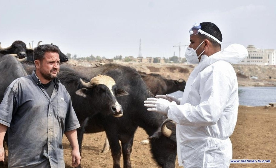 مقارنة بالعامين الماضيين.. ذي قار تعلن انخفاض نسبة الإصابات بالحمى النزفية