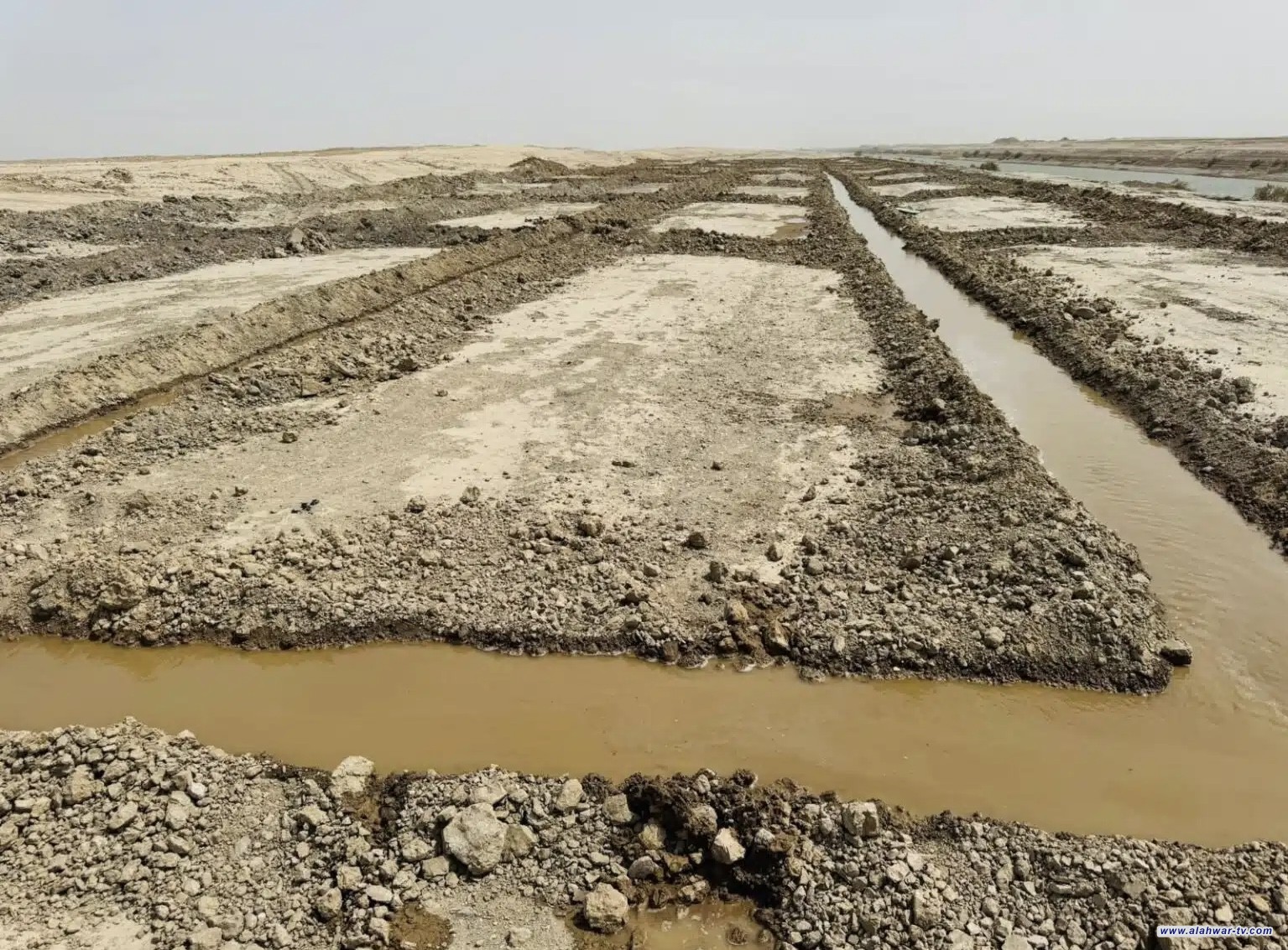 ذي قار تباشر بإنشاء مختبر للأشجار الصحراوية في مشروع مكافحة التصحر