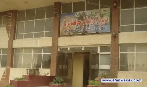 الزراعة في ذي قار: خطط لدعم الفلاحين وتنظيم الإنتاج