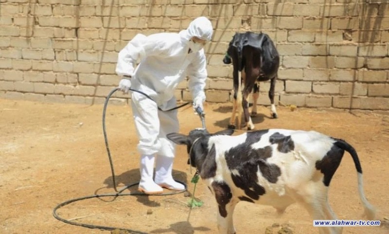 ذي قار تسجل إصابة جديدة بالحمى النزفية شمال الناصرية