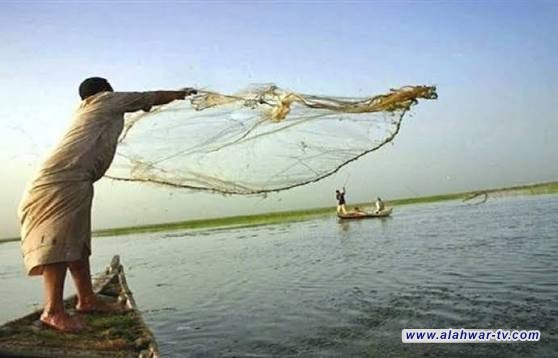جمعية الصيادين: خسرنا تصدير 70 طن من الأسماك يوميا بسبب جفاف هور الحمار الغربي