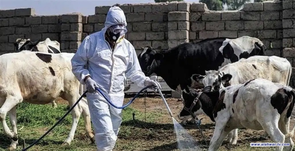 وفاة امرأة في ذي قار بسبب مضاعفات الحمى النزفية