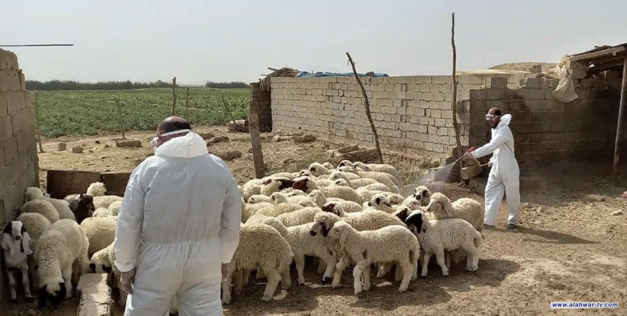 ذي قار تتصدر محافظات العراق بإصابات الحمى النزفية بـ117 حالة مؤكدة