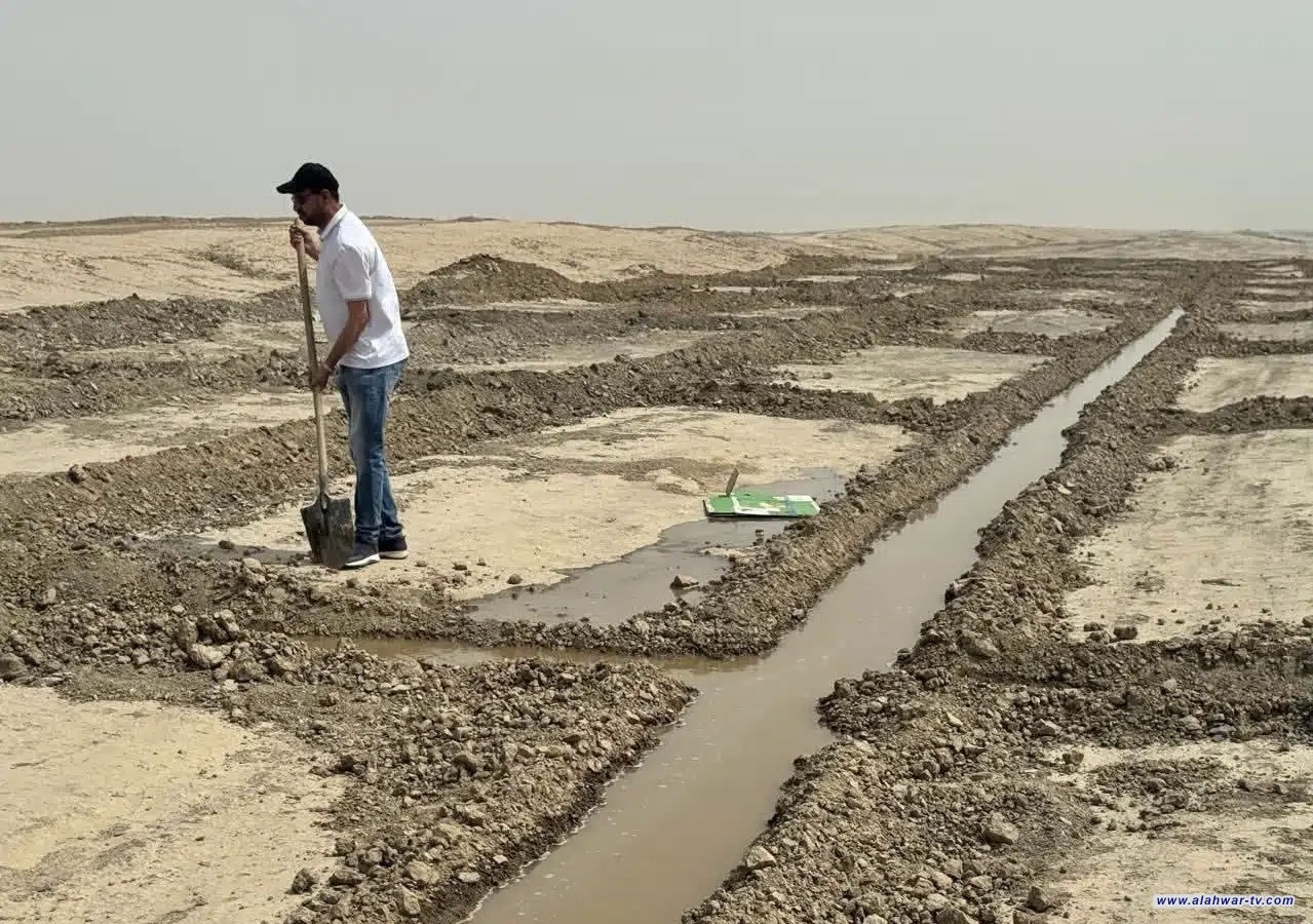 ذي قار تباشر بإنشاء مختبر للأشجار الصحراوية ضمن مشروع مكافحة التصحّر