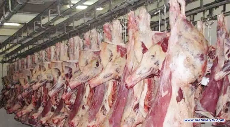 ذي قار: إنشاء المجازر النموذجية ضرورة للحد من الحمى النزفية