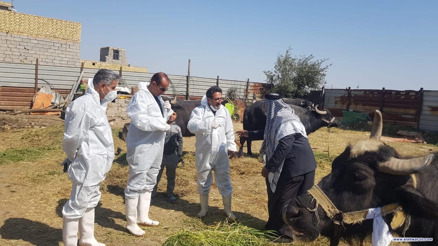 تسجيل أول إصابة بالحمى النزفية في ذي قار