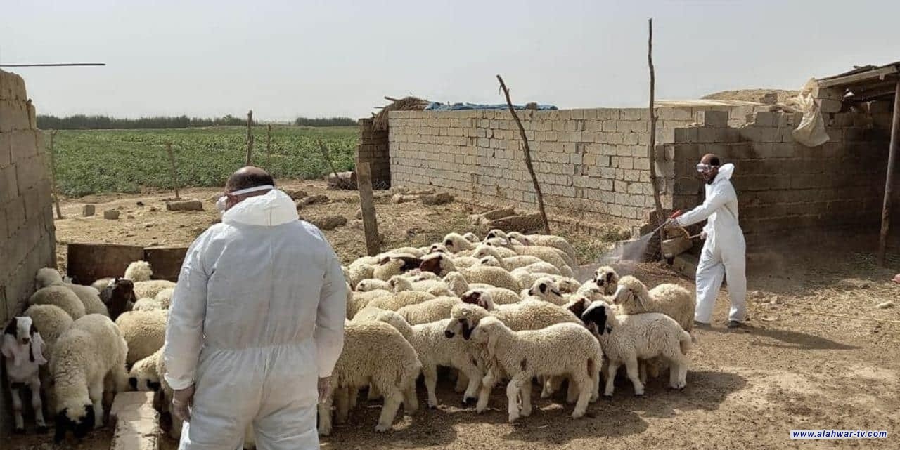 تسجيل ثلاث إصابات جديدة بالحمى النزفية في شمال الناصرية