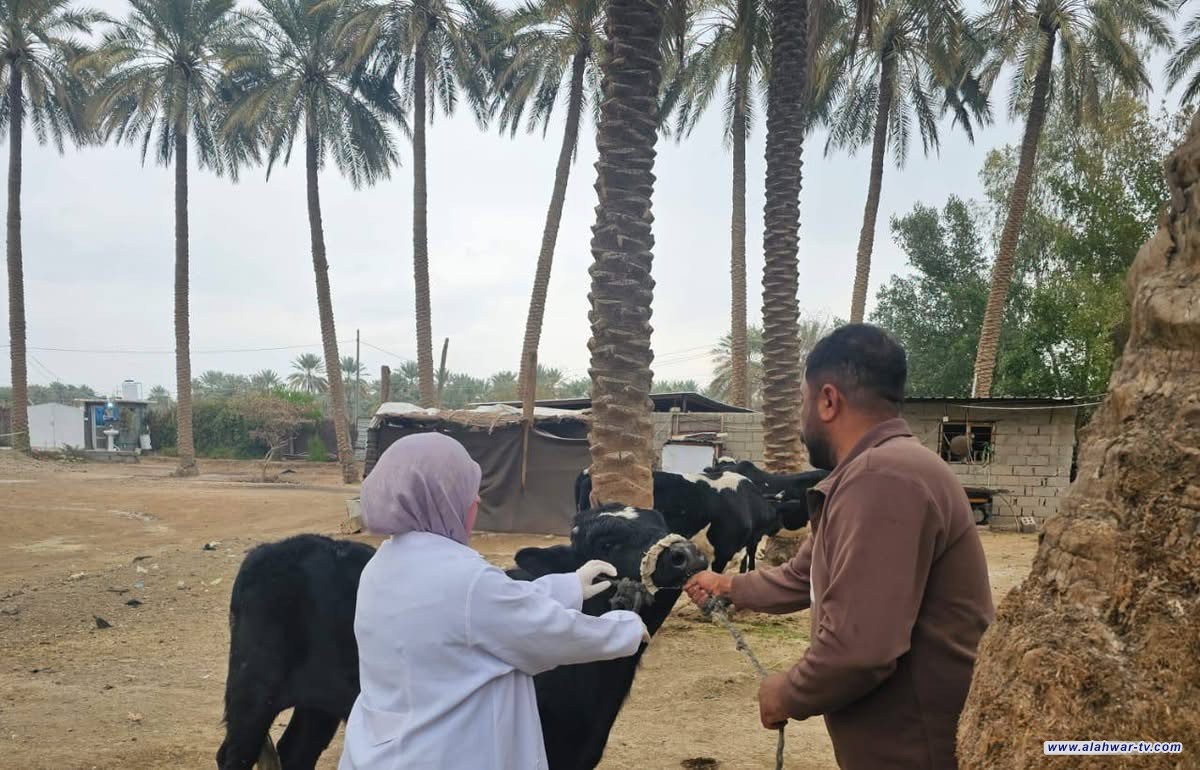 حملة تلقيح شاملة في ذي قار لمواجهة الحمى النزفية بعد رمضان