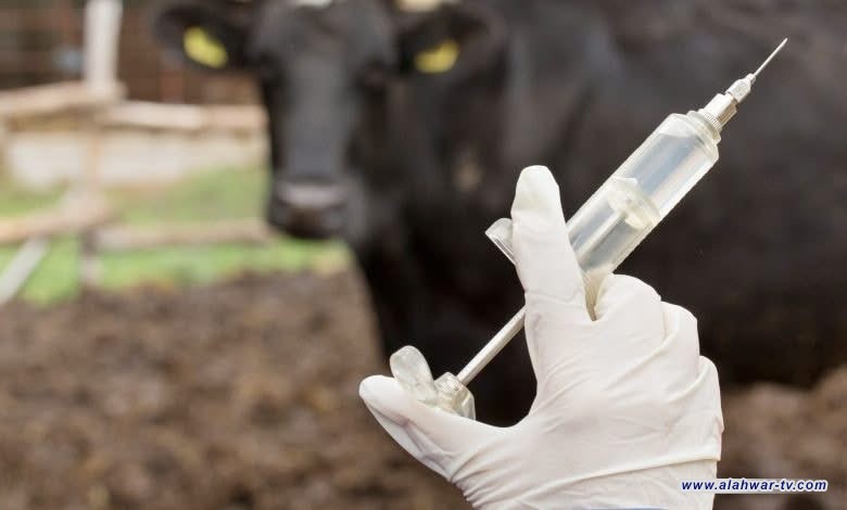 حملة تلقيح شاملة في ذي قار لمواجهة الحمى النزفية بعد رمضان