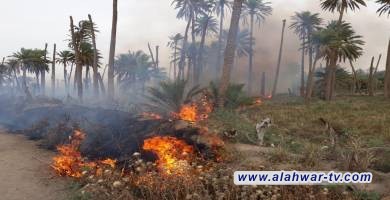 كشف مصدر في شرطة ذي قار عن اندلاع حريق في بستانين للنخيل بالاضافة الى مدرسة قيد الانشاء شمال الناصرية.