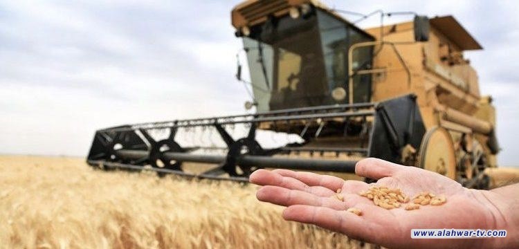 ذي قار تتهيأ لاستقبال حصاد الحنطة والشعير مع توسعة المخازن