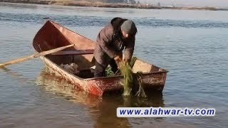 الزراعة تحدّد آلية جديدة لمنع صيد الأسماك وفق تقسيم زمني للمحافظات