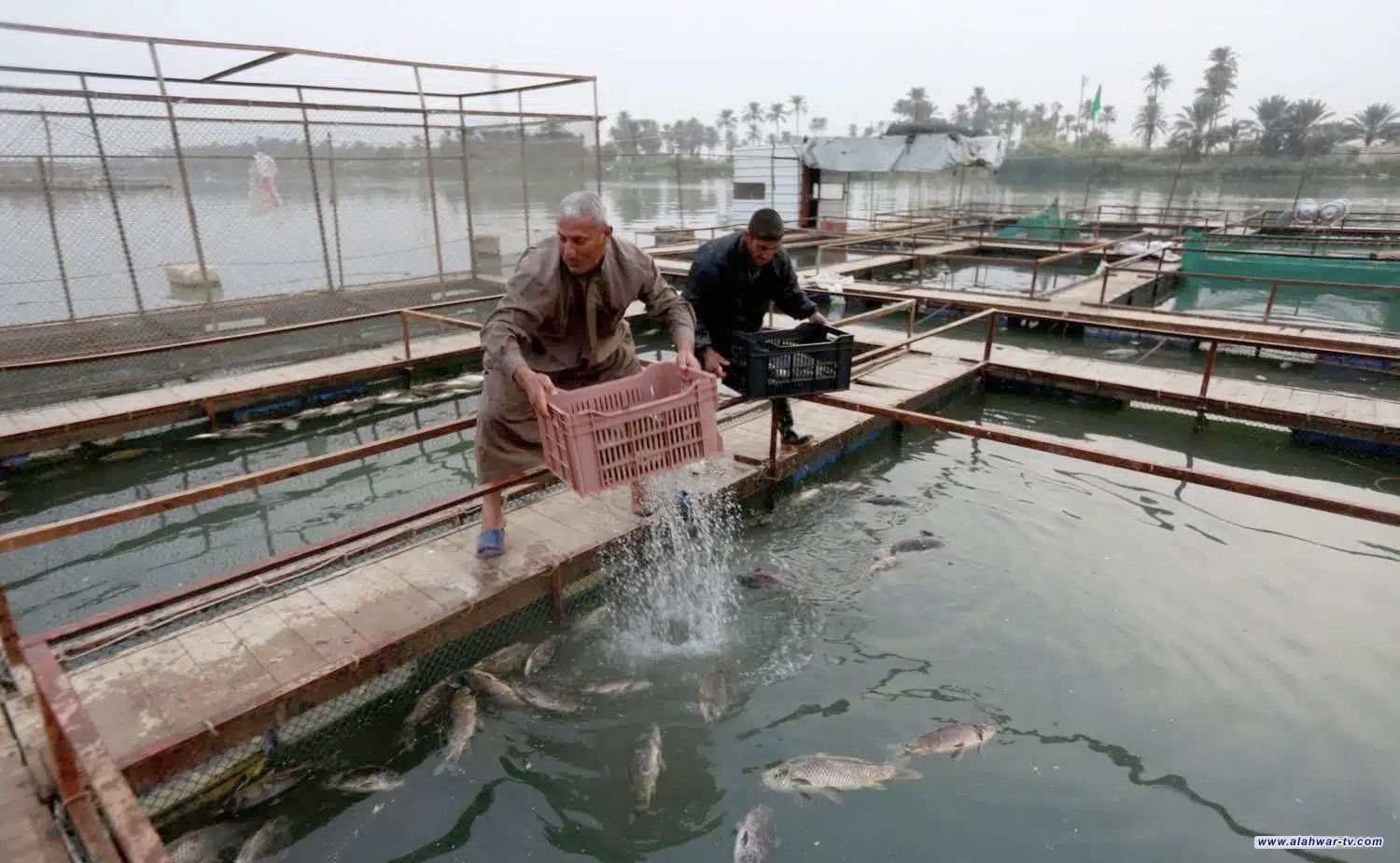 صيادو ذي قار يتركون مهنتهم، الجفاف يحوّل أرزاق آلاف العائلات إلى معاناة