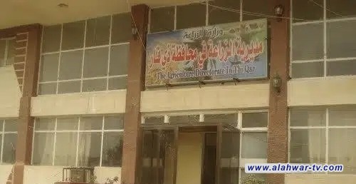 زراعة ذي قار تنفي تسجيل أي إصابة بفيروس كوي الهربس القاتل للأسماك