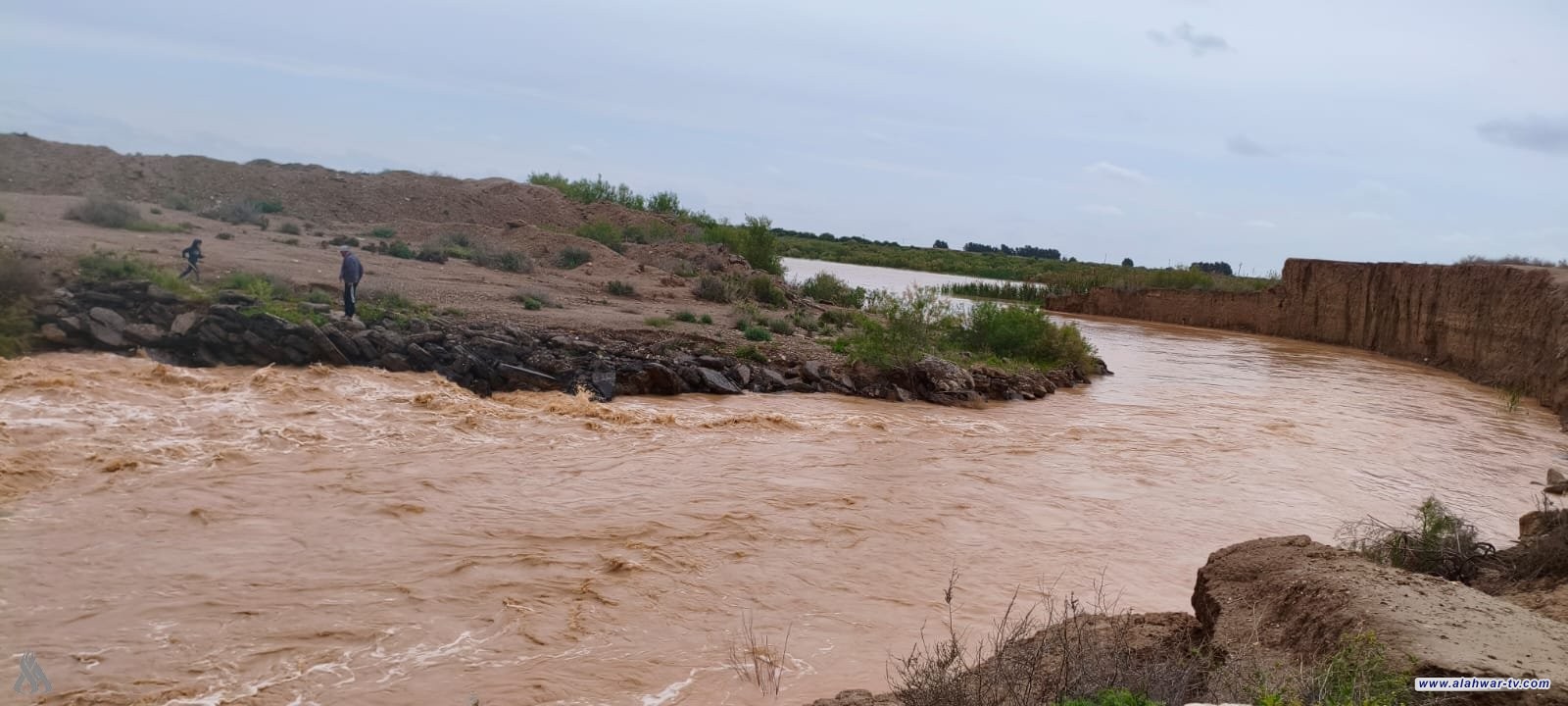 الموارد: انعاش أهوار ميسان إثر ورود موجات سيول كبيرة من إيران