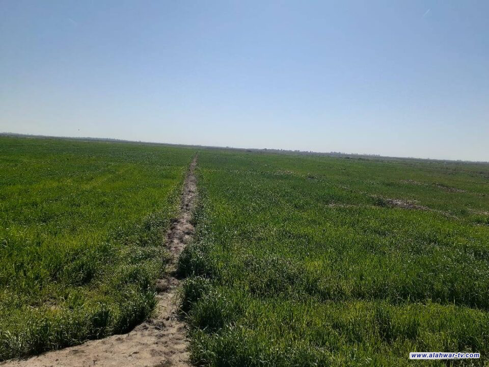 زراعة ذي قار تكشف عن خطة لتدريب الفلاحين على تقنيات الري الحديث بتمويل أممي