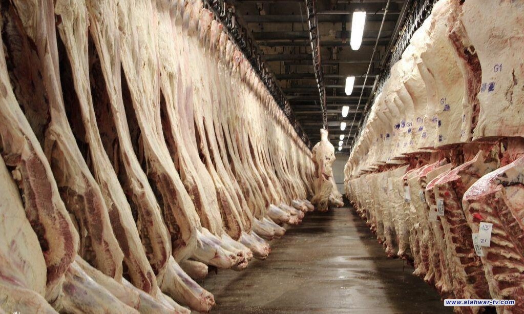 تضمنت تشكيل لجان.. الزراعة تعلن عن إجراءات مشددة على المجازر لضمان سلامة اللحوم