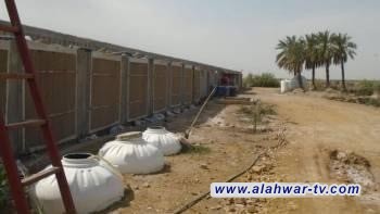 بيئة ذي قار تغلق حقلاً للدواجن في الجبايش لمخالفته الشروط البيئية