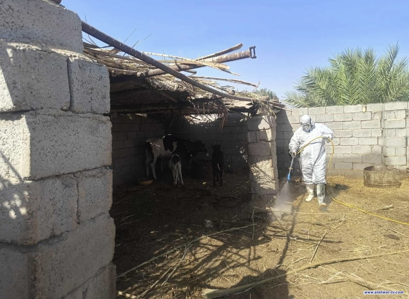 ذي قار تسجّل تراجعاً بالإصابات بالحمى النزفية.. 15 وفاة منذ بداية 2025 حتى الآن