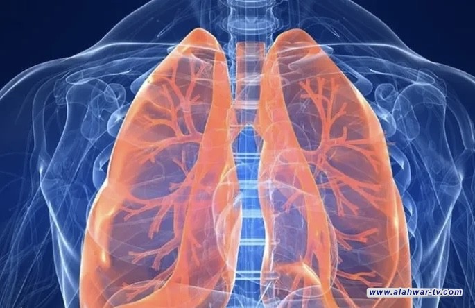 دراسة: نمط الحياة السيء يزيد خطر الإصابة بالانسداد الرئوي