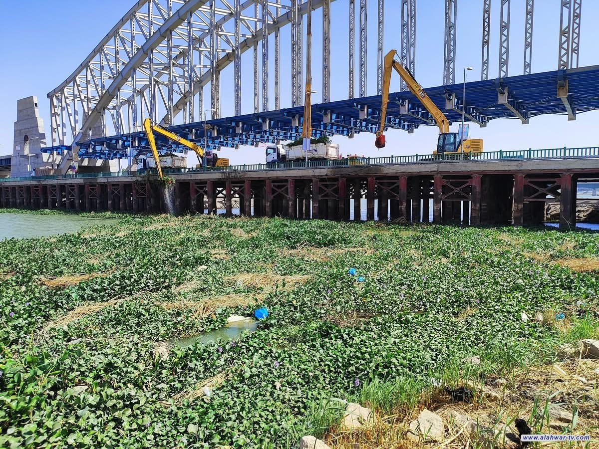 أعمال مكثفة لرفع زهرة النيل من نهر الفرات في ذي قار