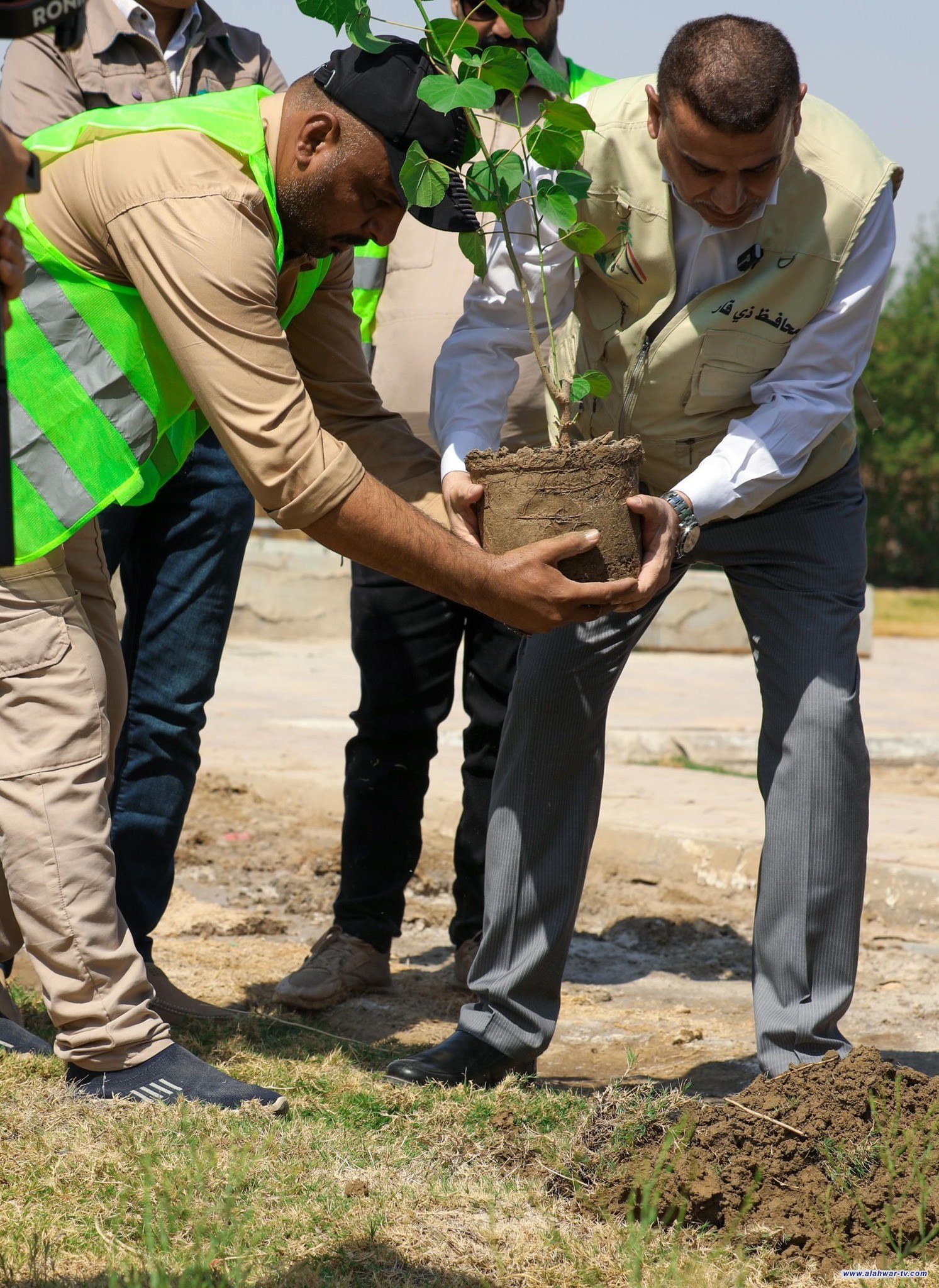 انطلاق حملة تشجير لزراعة 13 ألف شتلة في الناصرية