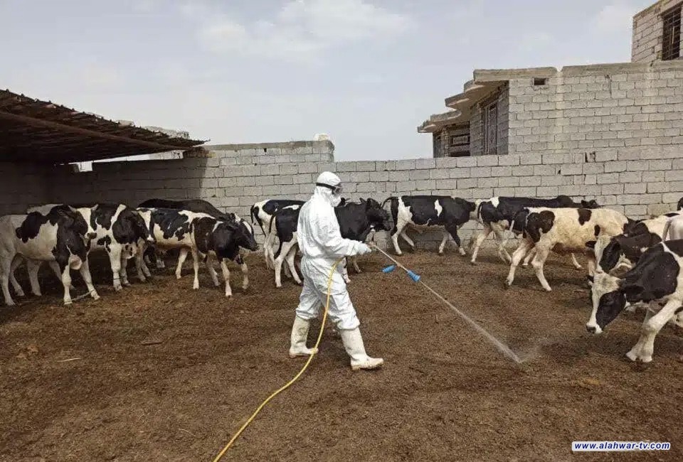 المستشفى البيطري في ذي قار يعلن احتواء بؤرة إصابتين بالحمى النزفية في قضاء الشطرة