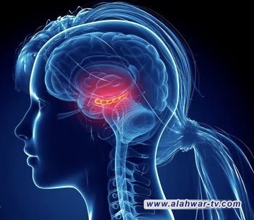 كيف يكوّن دماغك انطباعاً سريعاً عن الآخرين