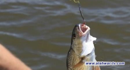 الزراعة تؤكد منع صيد الاسماك وتفاتح الشرطة النهرية للحد من المخاطر