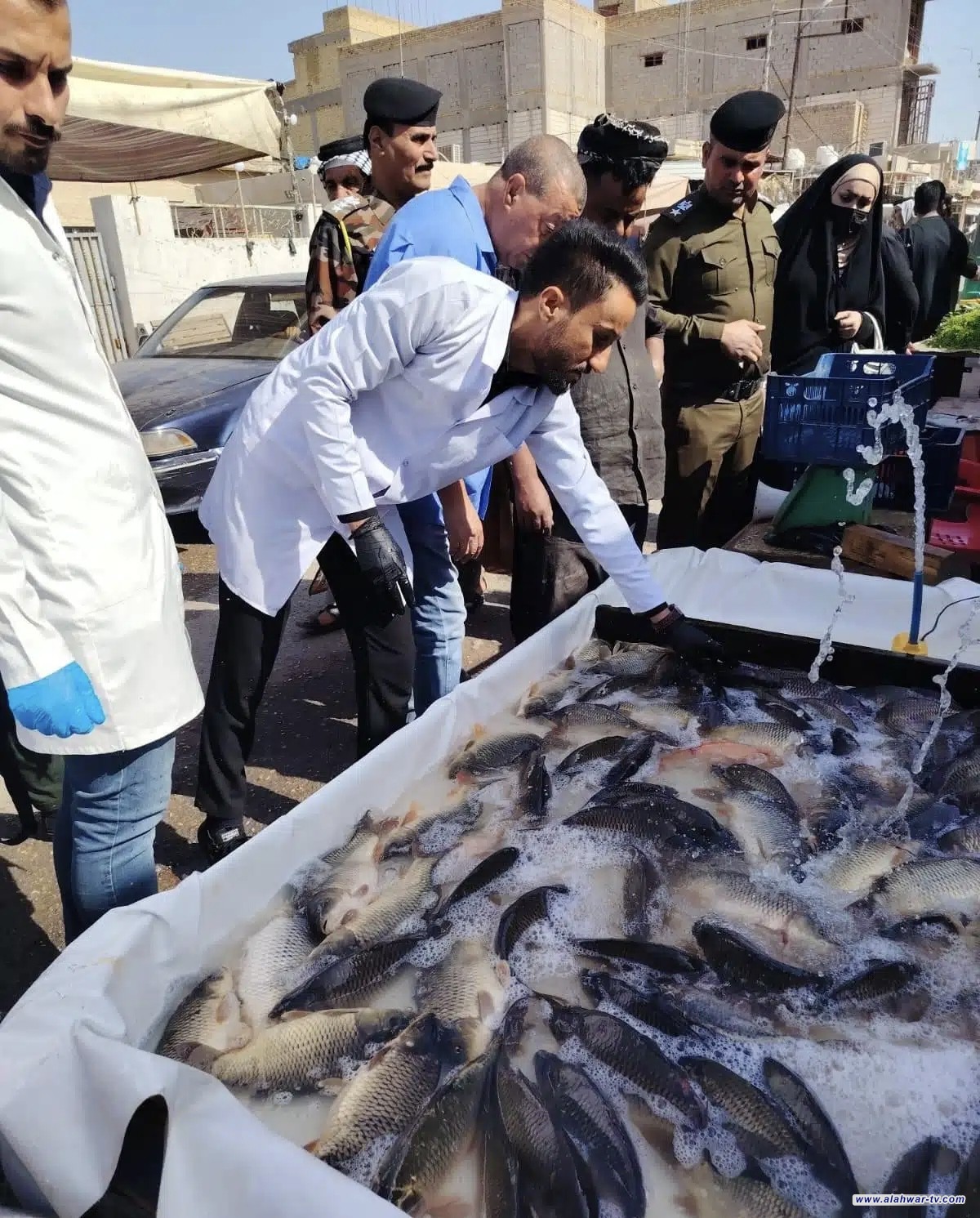 فرق مشتركة تنفذ حملة تفتيشية على الثروة السمكية في قلعة سكر للحفاظ على الامن الغذائي