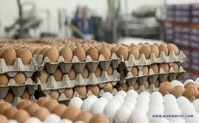 أسعار بيض المائدة ترتفع إلى 7 آلاف دينار في الناصرية ومواطنون يطالبون بتدخل الجهات الرقابية